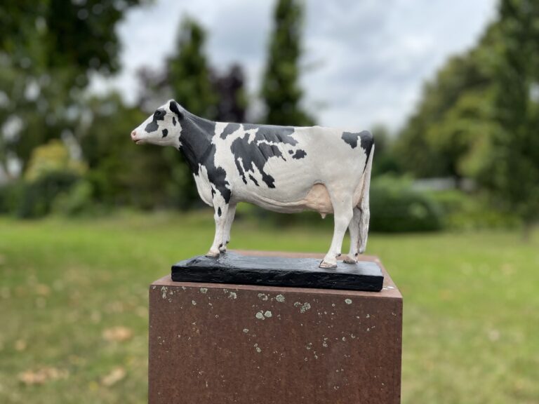 Holstein-koe (True Type).  Beschilderd