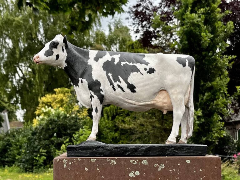 Holstein-koe (True Type).  Beschilderd